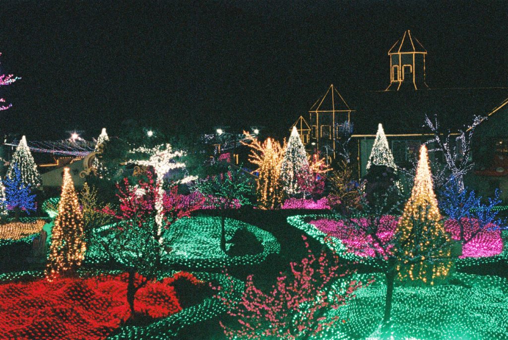 Pocheon Herb Village - Light Festival - Married with Maps